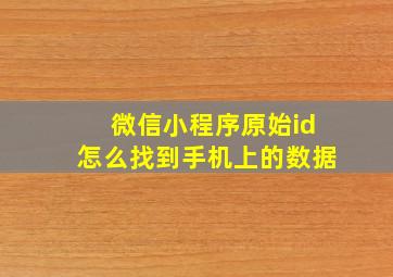 微信小程序原始id怎么找到手机上的数据