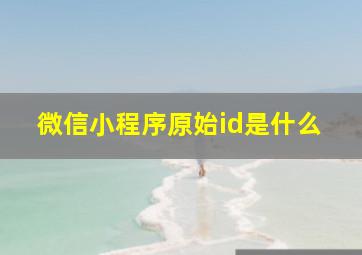 微信小程序原始id是什么