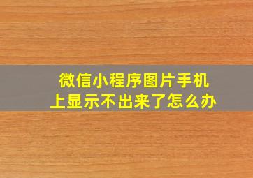 微信小程序图片手机上显示不出来了怎么办