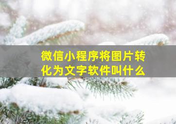 微信小程序将图片转化为文字软件叫什么