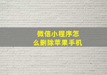 微信小程序怎么删除苹果手机