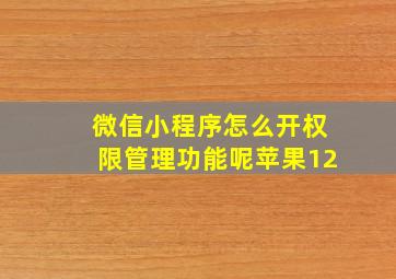 微信小程序怎么开权限管理功能呢苹果12