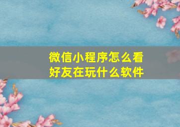 微信小程序怎么看好友在玩什么软件