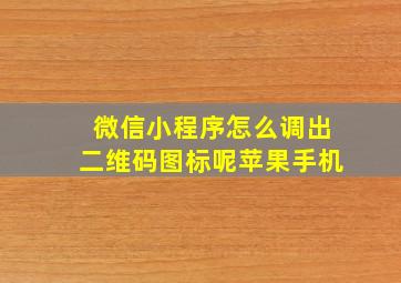 微信小程序怎么调出二维码图标呢苹果手机