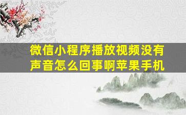 微信小程序播放视频没有声音怎么回事啊苹果手机