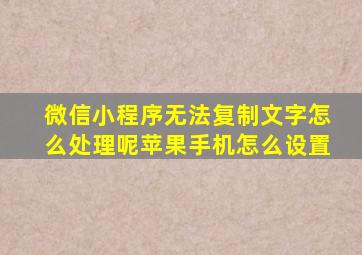 微信小程序无法复制文字怎么处理呢苹果手机怎么设置