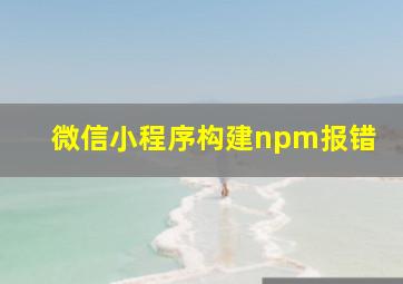 微信小程序构建npm报错