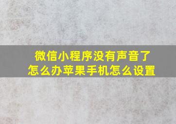 微信小程序没有声音了怎么办苹果手机怎么设置