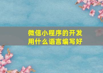 微信小程序的开发用什么语言编写好