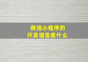 微信小程序的开发语言是什么