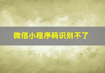 微信小程序码识别不了