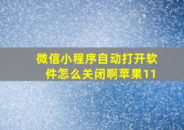 微信小程序自动打开软件怎么关闭啊苹果11