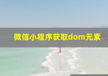 微信小程序获取dom元素