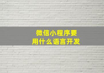 微信小程序要用什么语言开发