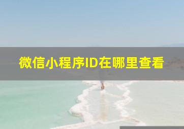 微信小程序ID在哪里查看