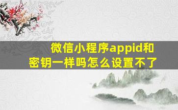 微信小程序appid和密钥一样吗怎么设置不了