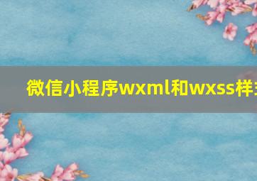 微信小程序wxml和wxss样式