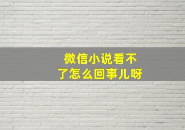 微信小说看不了怎么回事儿呀