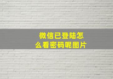 微信已登陆怎么看密码呢图片