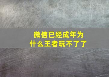 微信已经成年为什么王者玩不了了