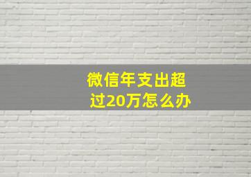 微信年支出超过20万怎么办