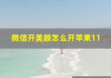 微信开美颜怎么开苹果11