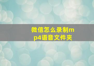 微信怎么录制mp4语音文件夹