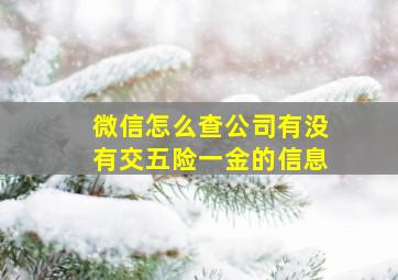 微信怎么查公司有没有交五险一金的信息