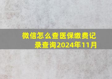 微信怎么查医保缴费记录查询2024年11月