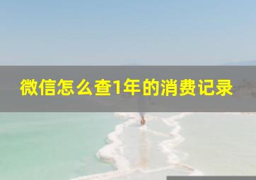 微信怎么查1年的消费记录