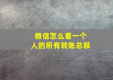 微信怎么看一个人的所有转账总额