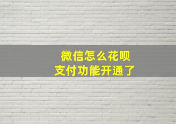 微信怎么花呗支付功能开通了