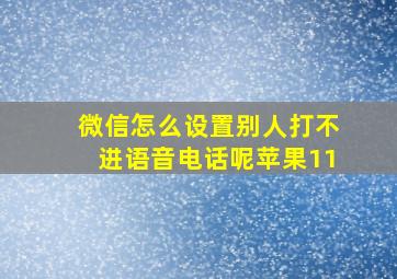 微信怎么设置别人打不进语音电话呢苹果11