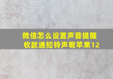 微信怎么设置声音提醒收款通知铃声呢苹果12