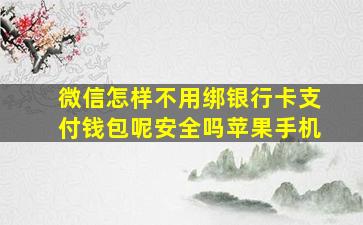 微信怎样不用绑银行卡支付钱包呢安全吗苹果手机