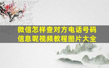 微信怎样查对方电话号码信息呢视频教程图片大全