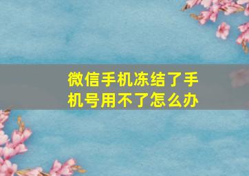 微信手机冻结了手机号用不了怎么办