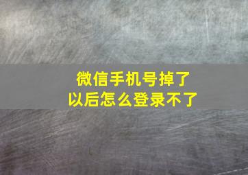 微信手机号掉了以后怎么登录不了