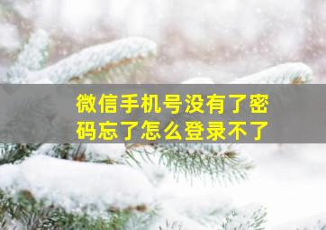 微信手机号没有了密码忘了怎么登录不了