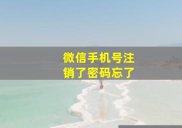 微信手机号注销了密码忘了