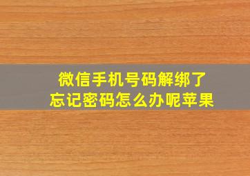 微信手机号码解绑了忘记密码怎么办呢苹果