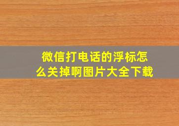 微信打电话的浮标怎么关掉啊图片大全下载