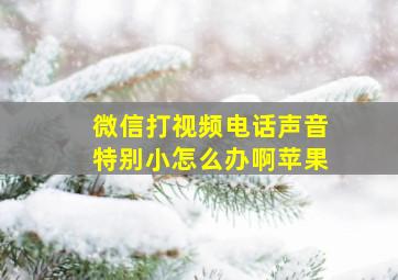 微信打视频电话声音特别小怎么办啊苹果