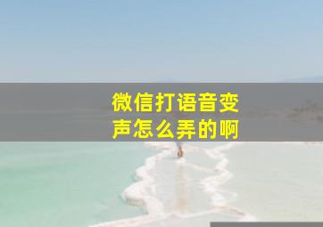 微信打语音变声怎么弄的啊