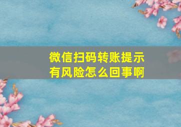 微信扫码转账提示有风险怎么回事啊