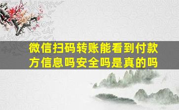 微信扫码转账能看到付款方信息吗安全吗是真的吗