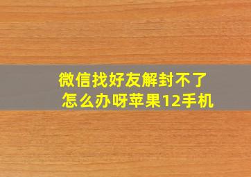 微信找好友解封不了怎么办呀苹果12手机