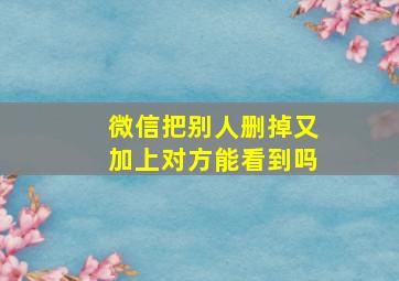 微信把别人删掉又加上对方能看到吗