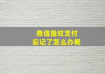 微信指纹支付忘记了怎么办呢