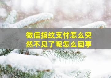 微信指纹支付怎么突然不见了呢怎么回事